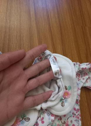 Платтічко 2