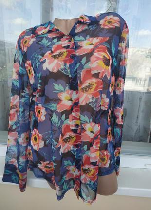 Блузка/рубашка прозрачная р.48-50