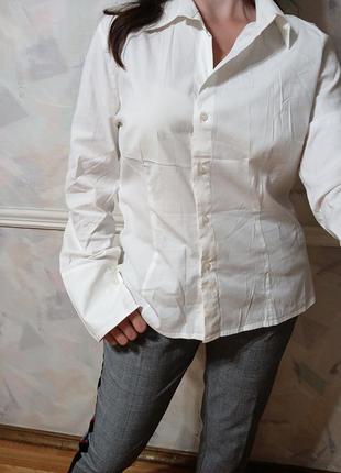 Рубашка хлопок