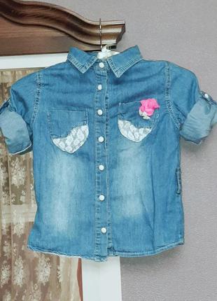 Блуза джинсовая регулируется рукав1 фото