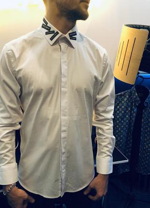Брендовий сорочка, сорочка, класична сорочка