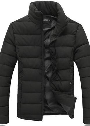 Синтепоне мужская