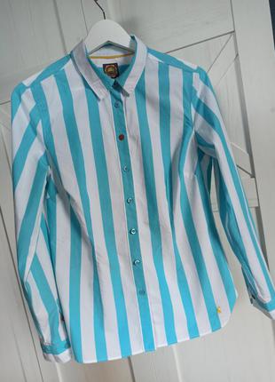 Смугаста сорочка joules