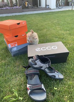 Ecco сандали all terrain lite3 фото