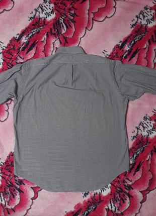 Мужская рубашка премиум качества polo by ralph lauren. размер l. 100% cotton. мелкая клетка темно-синяя с белым.3 фото