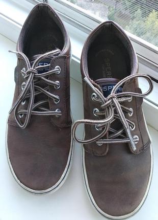 Туфли, мокасины,топсайдеры sperry top-sider