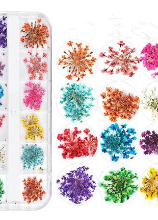 Сухоцвіти для дизайну нігтів, набір 12 кольорів2 фото