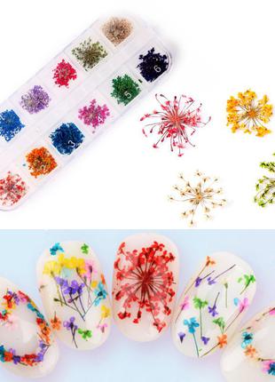 Сухоцветы для дизайна ногтей, набор 12 цветов4 фото