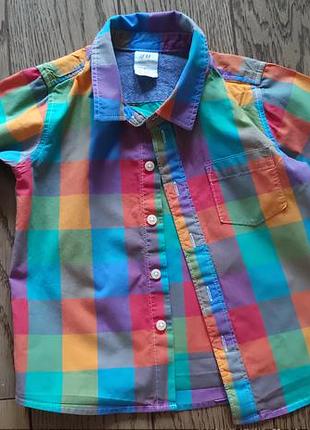 Сорочка h&m на 9-12 місяців
