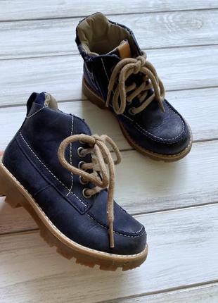 Clarks ботінки