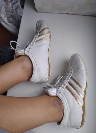 Adidas кроссовки 39 размер 25 см стелька9 фото