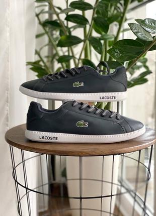 Чоловічі кросівки/кеди lacoste2 фото