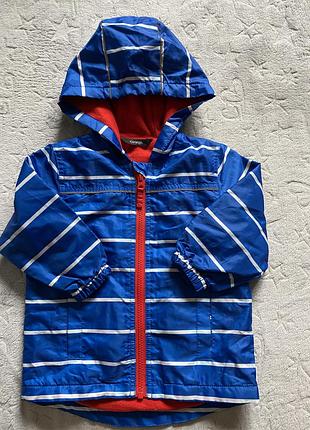 Вітровка на хлопчика george 1-1.5