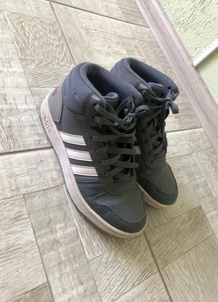Adidas хайтопы кроссовки