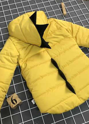 Куртка динозавр на флісі тепла та стильно