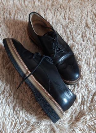 Шкіряні напівчеревики лофери оксфорди clarks оригінал
