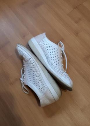 Шкіряні туфлі, мокасини