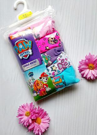 Трусики белые в рисунок поштучно paw patrol primark2 фото