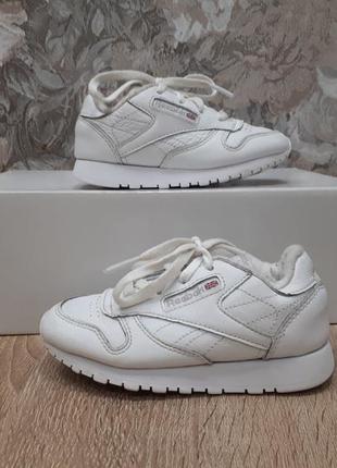 Reebok classic 25 кросівки кроси кеди.