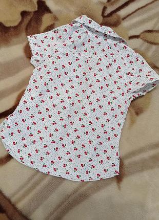 Гарна сорочка, кофточка 2