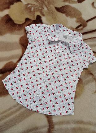 Гарна сорочка, кофточка