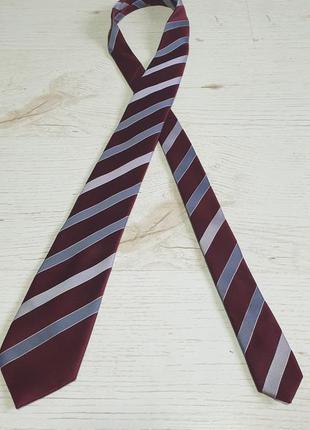 Шовкова краватка краватка gucci2 фото
