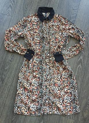 Сукня повсякденне concept club