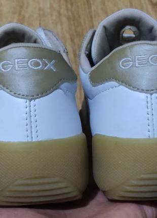 Кожаные кроссовки geox размер 39,5см по стельке6 фото