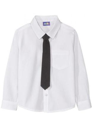 Белая нарядная рубашка с галстуком, комплект2 фото