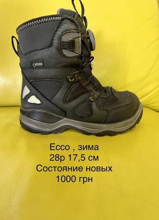 Сапоги ботинки ecco