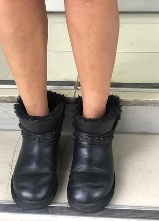 Сапоги ugg 2