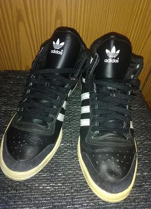 Кросівки adidas