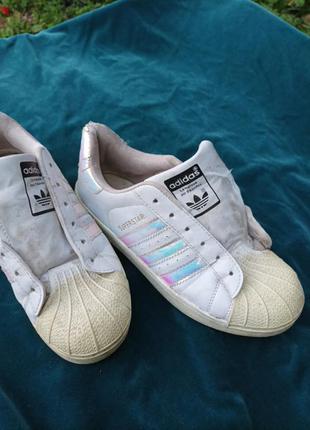 Кросівки adidas.