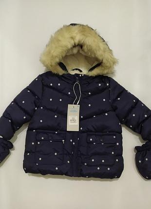 Куртка синя в білий горошок primark р.74, 80см