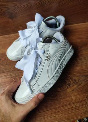 Кроссовки puma basket1 фото