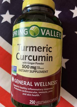 Куркумін для зміцнення здоров'я spring valley turmeric curcumin+порошок імбиру, 500 mg2 фото