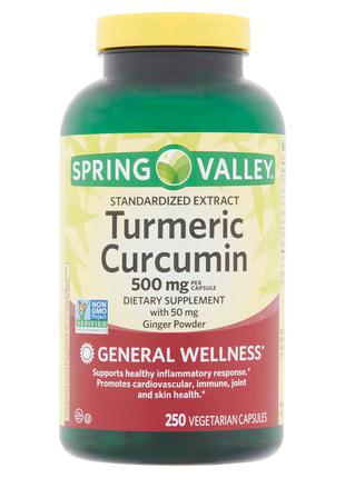 Куркумін для зміцнення здоров'я spring valley turmeric curcumin+порошок імбиру, 500 mg1 фото