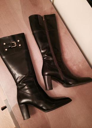 Итальянские сапоги fabiani