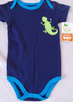 Боди малиновка