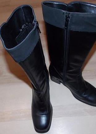 Чоботи осінь-весна