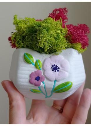 Горшочек  дл мха и сухоцветов
