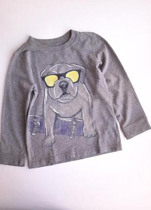 Реглан лонгслив картерс carters 4года 104см