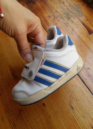 Кросівки adidas