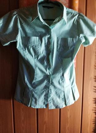 Сорочка,блузка