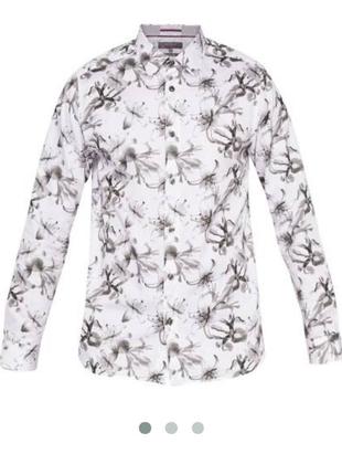Сорочка ted baker
