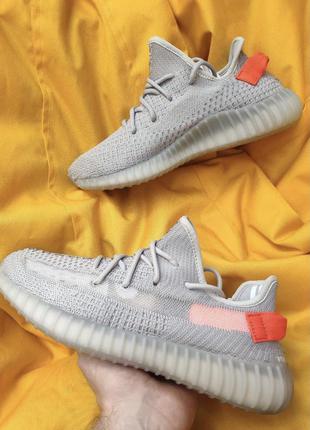 Adidas yeezy boost 3507 фото