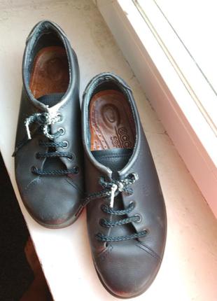 Черевики ecco.