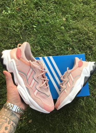 Adidas ozweego pink
