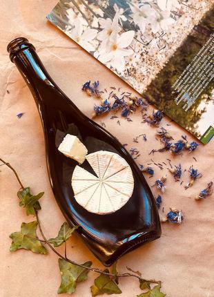Креативна подача камамбер, брі, моцареллі, посуд з пляшок champagne olive