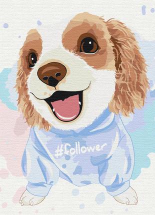 Картина по номерам дружочек bs51353